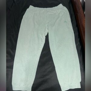 PINK Victoria's Secret Kids Mint Joggers